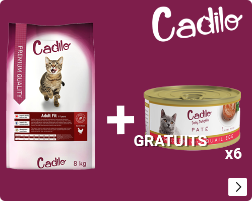 Cadilo droog met gratis 6x natvoer CAT